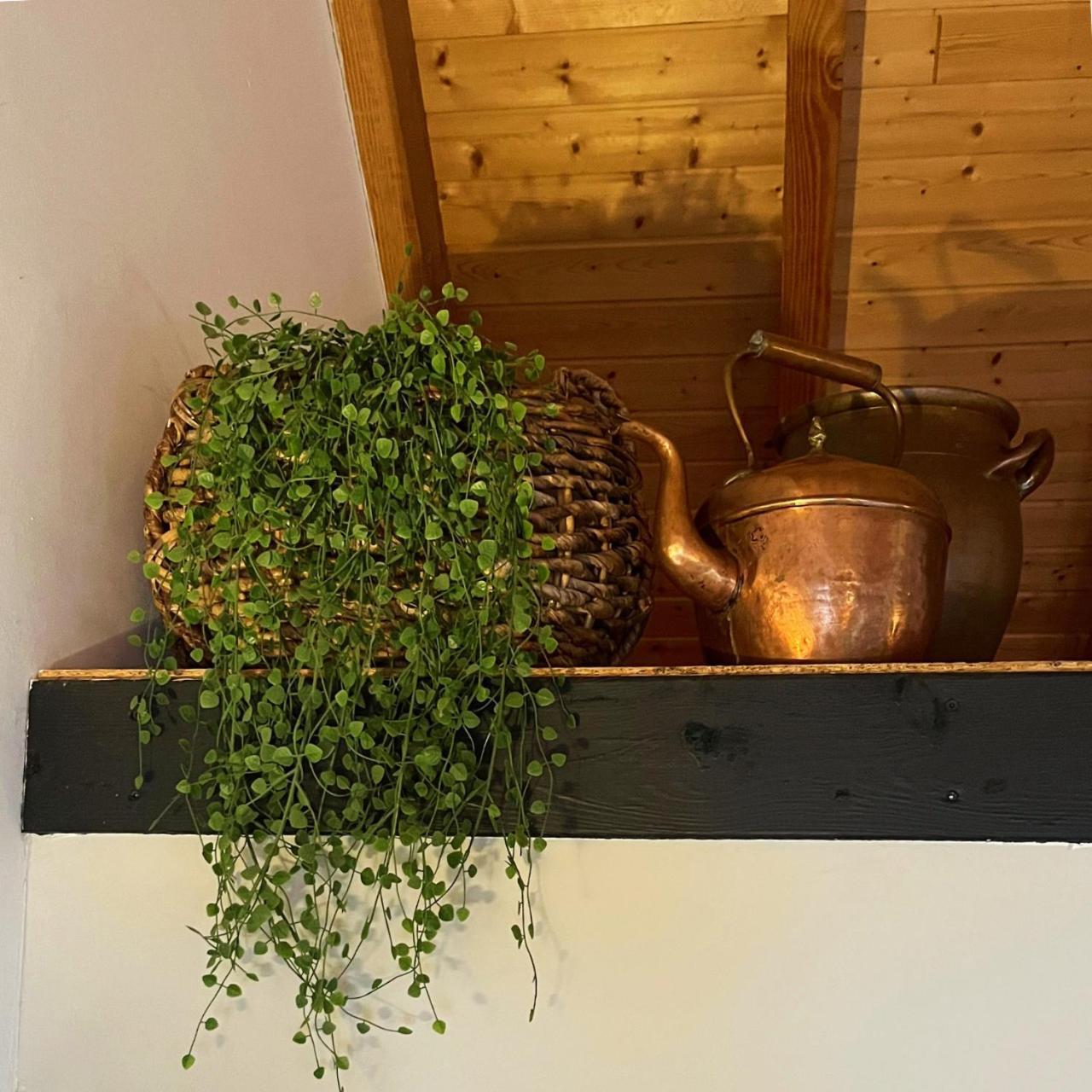 Aan De Hoge Weg Bed & Breakfast Kamperveen Eksteriør bilde
