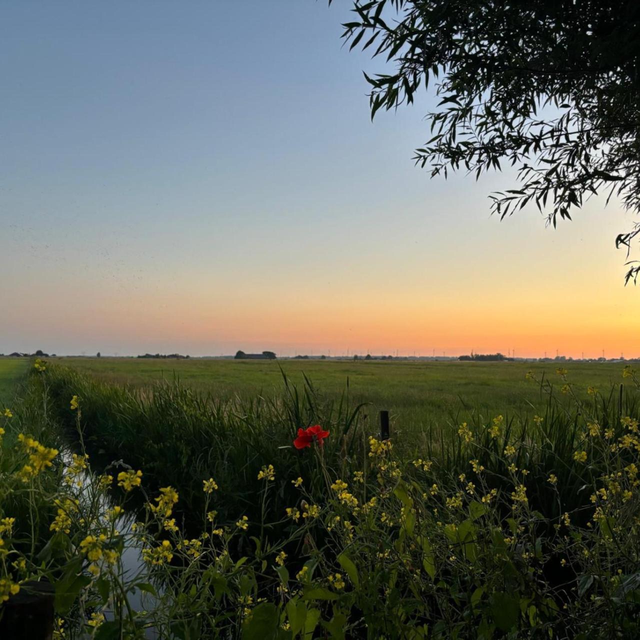 Aan De Hoge Weg Bed & Breakfast Kamperveen Eksteriør bilde