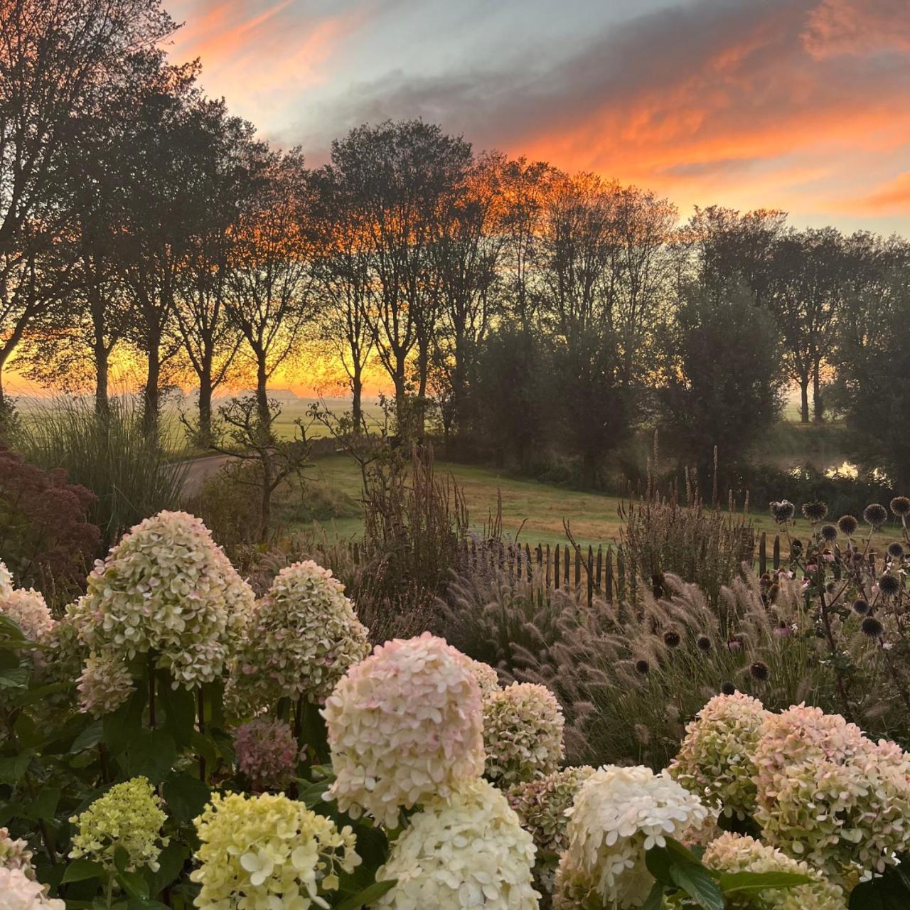 Aan De Hoge Weg Bed & Breakfast Kamperveen Eksteriør bilde