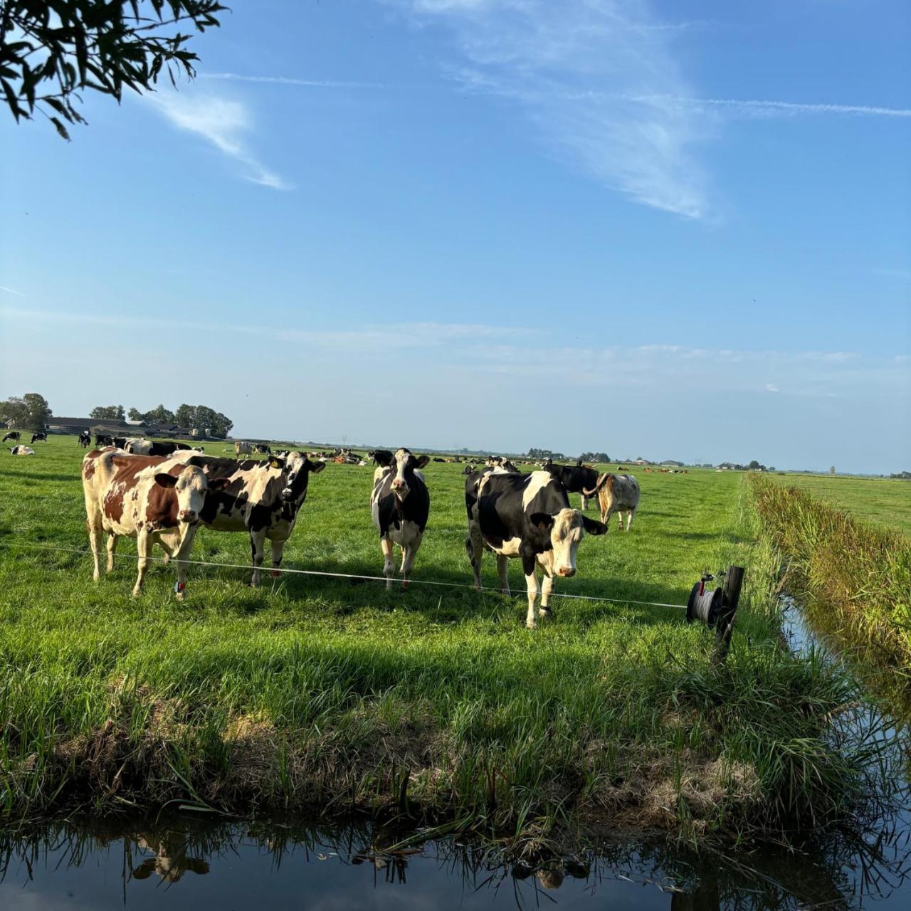 Aan De Hoge Weg Bed & Breakfast Kamperveen Eksteriør bilde